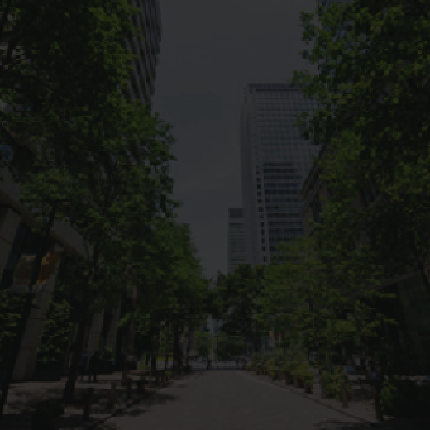 両側に高層ビルが立ち並ぶ並木道の都市風景